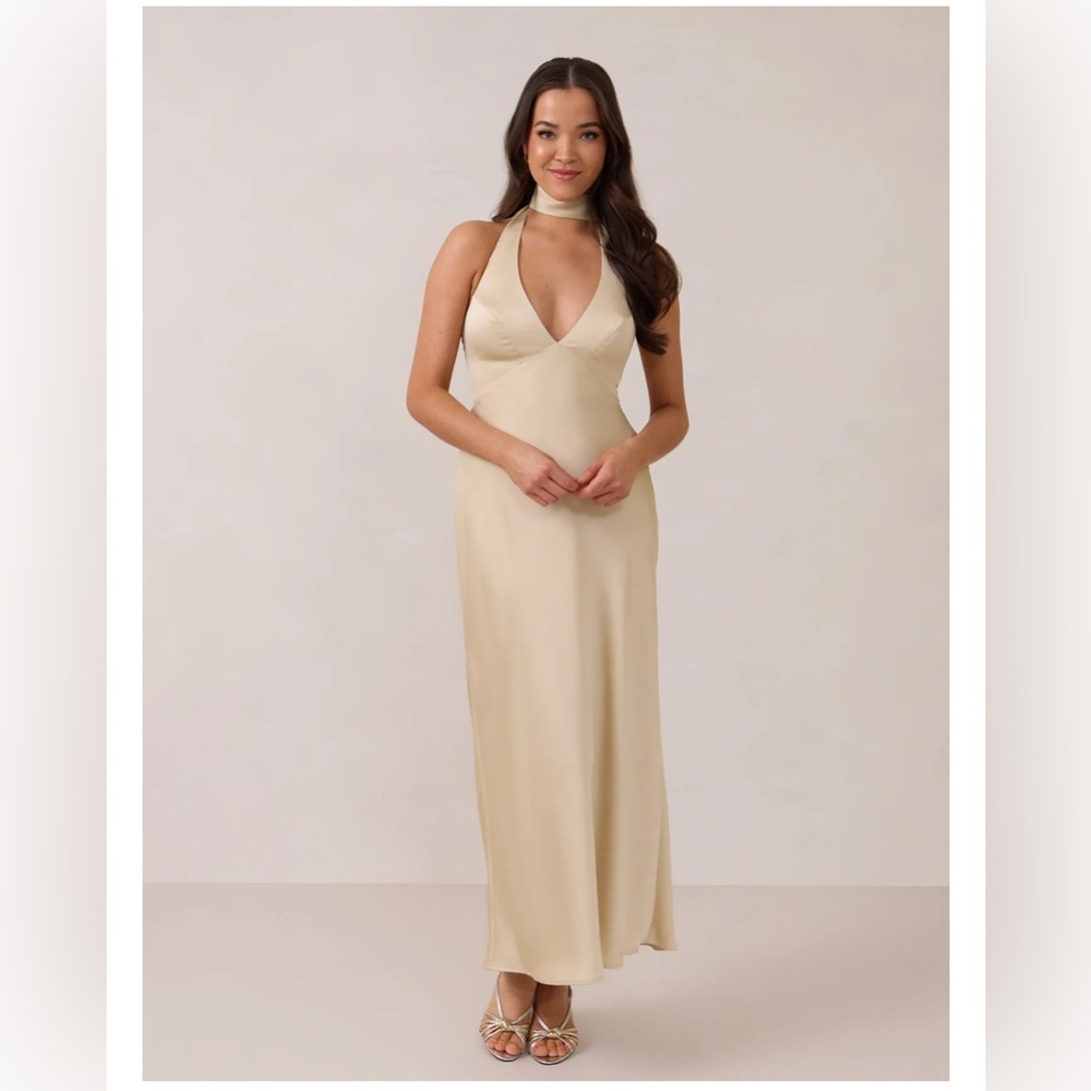 Park & Fifth HAYDEN Dress in Champagne